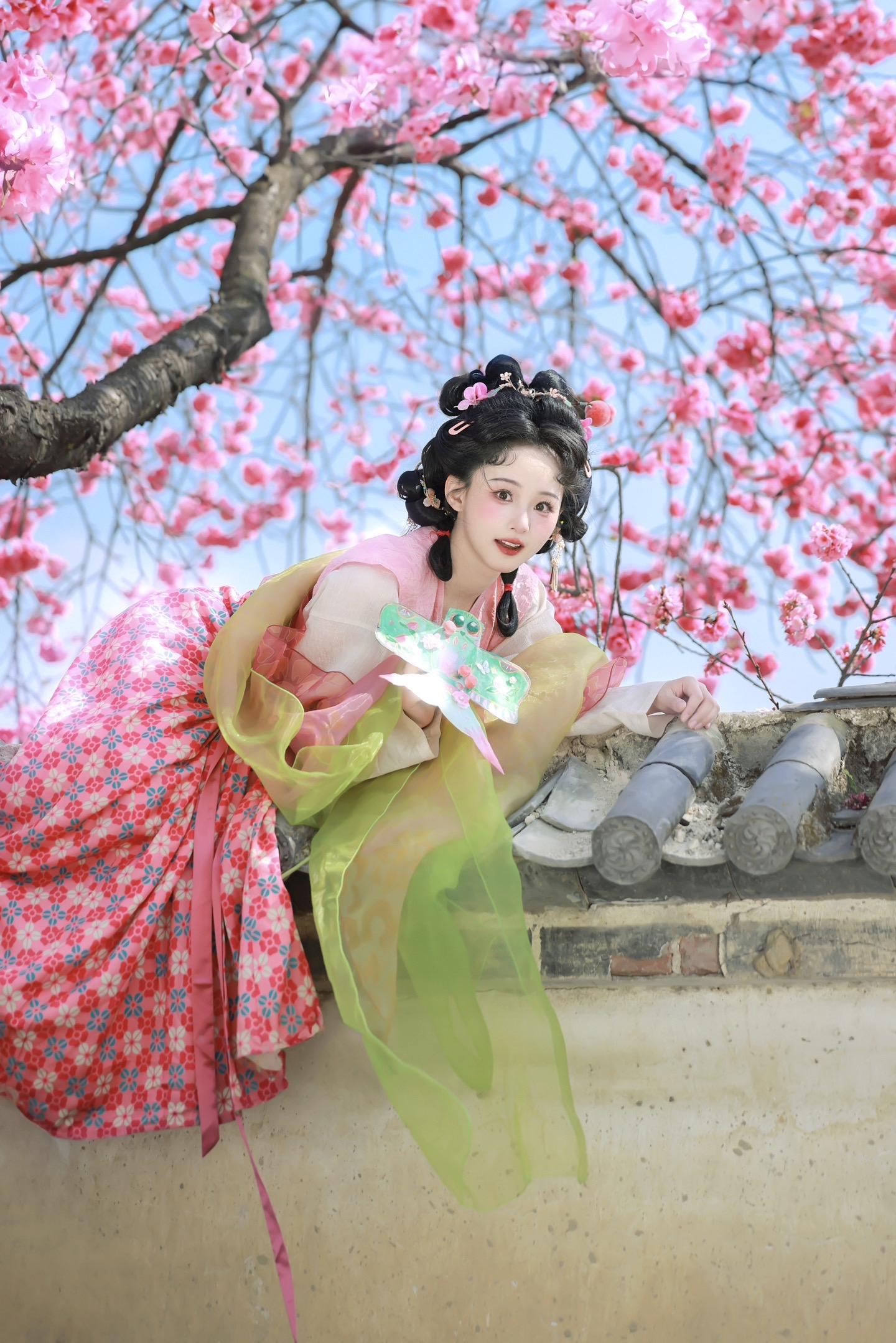 12月中下旬又要去大理拍照啦。有没有宝宝上车！