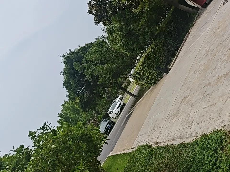 绿意盎然的街道，两旁停着几辆车，静谧而美好。 
每天中午下班回家。都是这个光景，