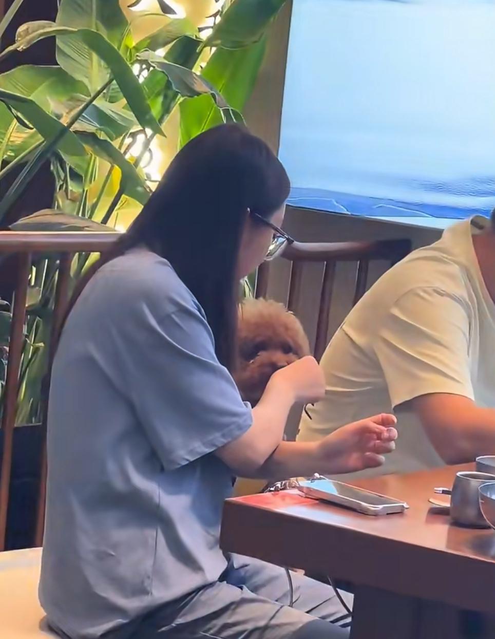 8月9日，重庆，一餐厅内，相邻两桌的女顾客都带有宠物狗，并都把宠物狗放在就餐座椅