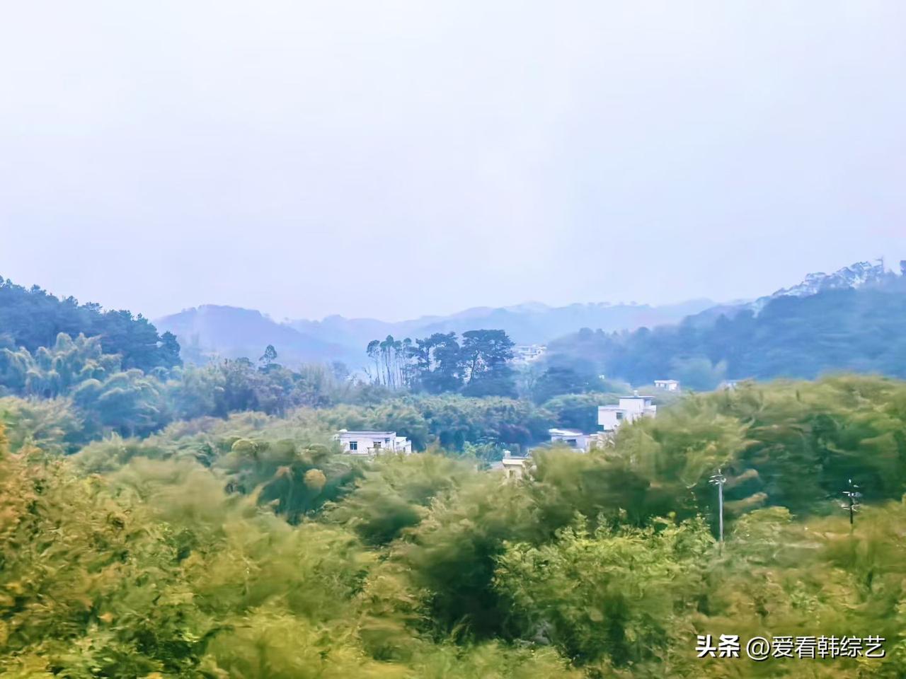 天南地北大拜年绿浪裹着村舍，远山浸在淡雾里，竹树的翠色漫成软绵的画。风掠过林梢时