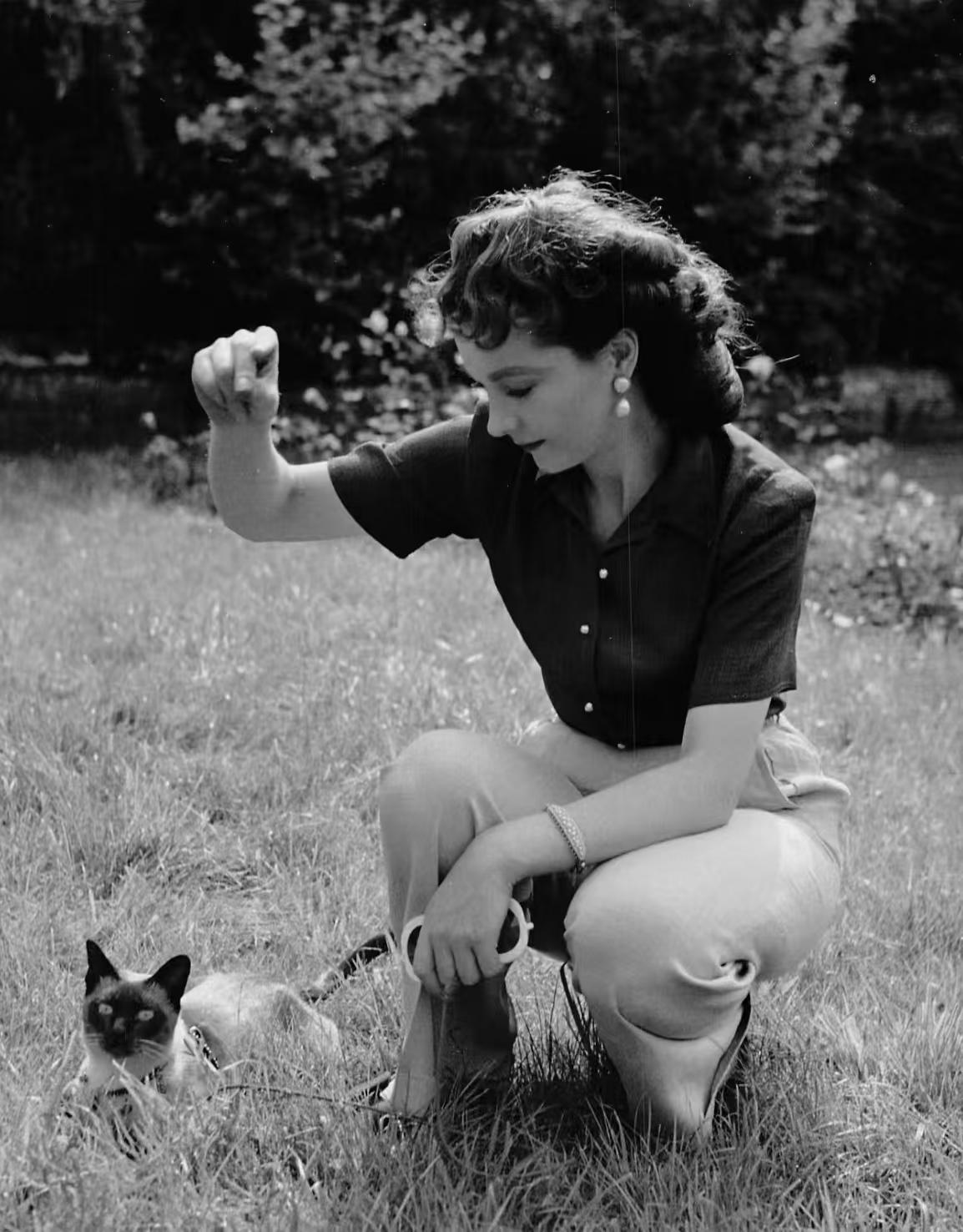 费雯·丽与暹罗猫“纽波”嬉戏
摄影师莱斯利·贝克1947年[玫瑰]