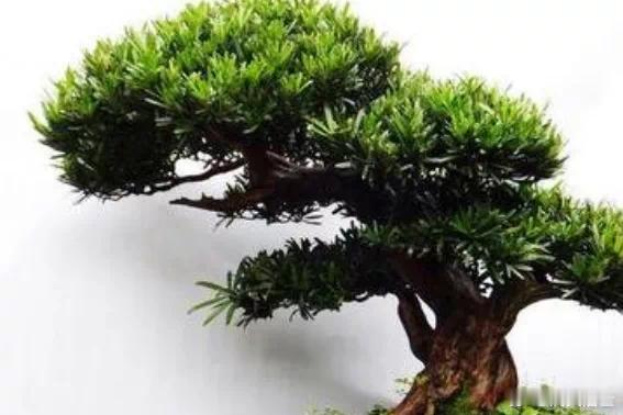 绝大多数人财不旺，根源在于“匮乏感”——越缺钱，越焦虑，频率越低，越吸引匮乏。这