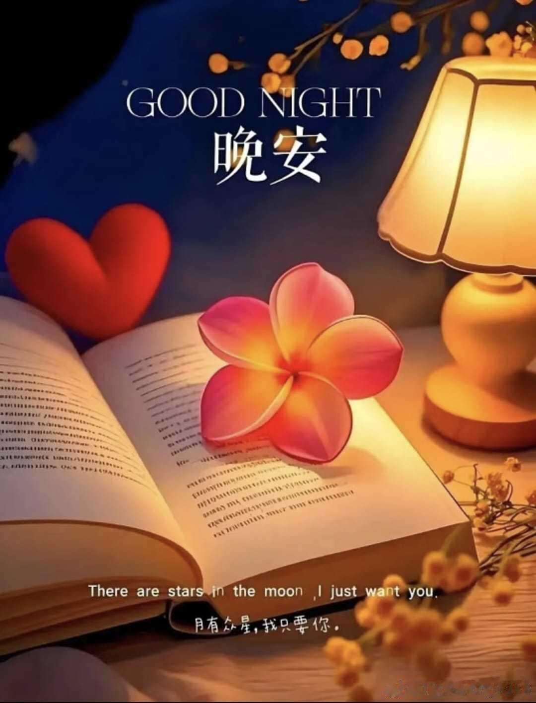 Good night 