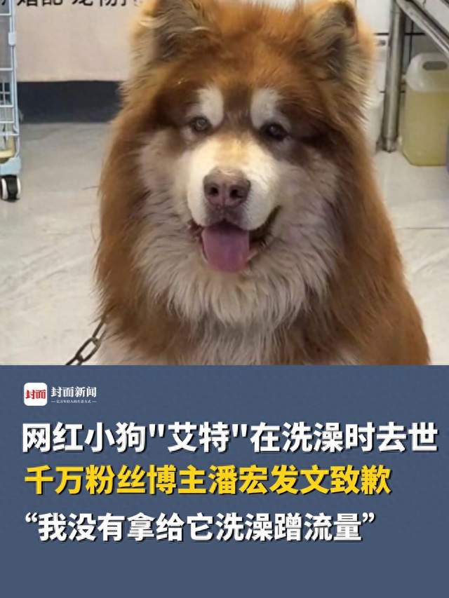 潘宏终审败诉：赔了11119元，公开道歉还欠着