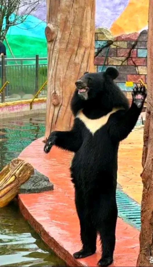 日本要求俄罗斯作出解释。近期在高市早苗挑衅中国主权的当儿，一架俄罗斯战机飞掠日本