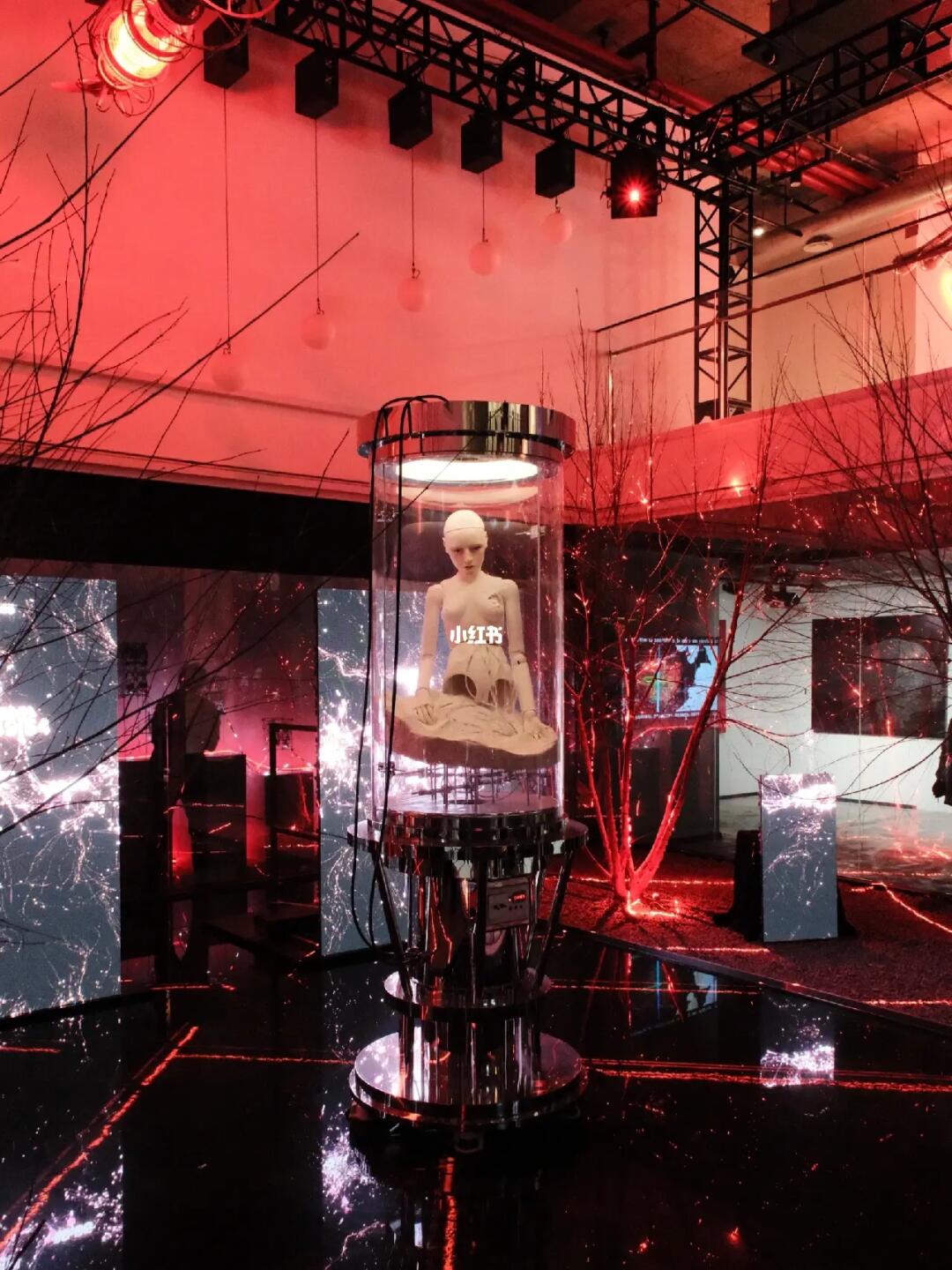 上海的免费新展已经到next level了