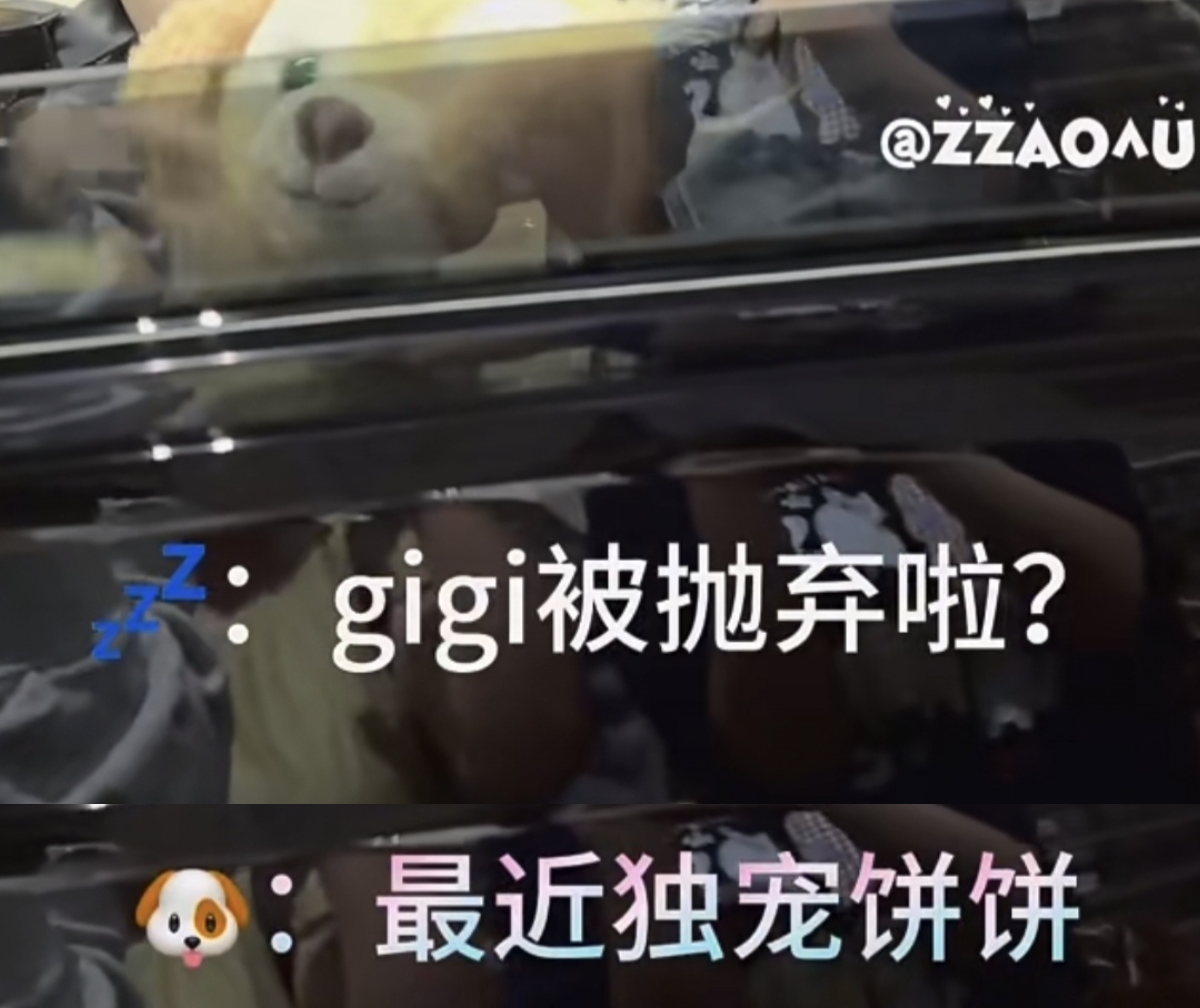 红色肥兔失宠后在家生胖气中… 