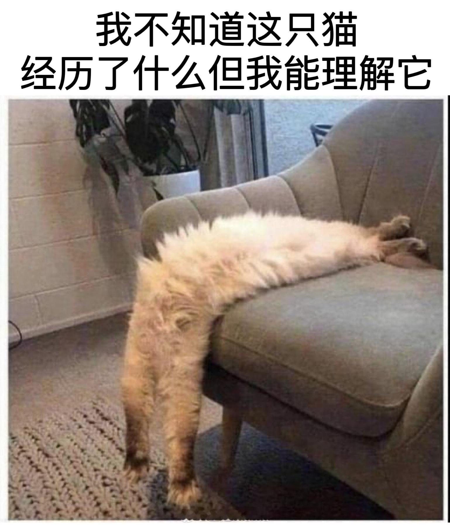 #meme##me_irl# ​​​