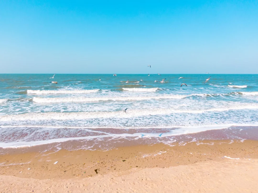 风已过，来看海！！！