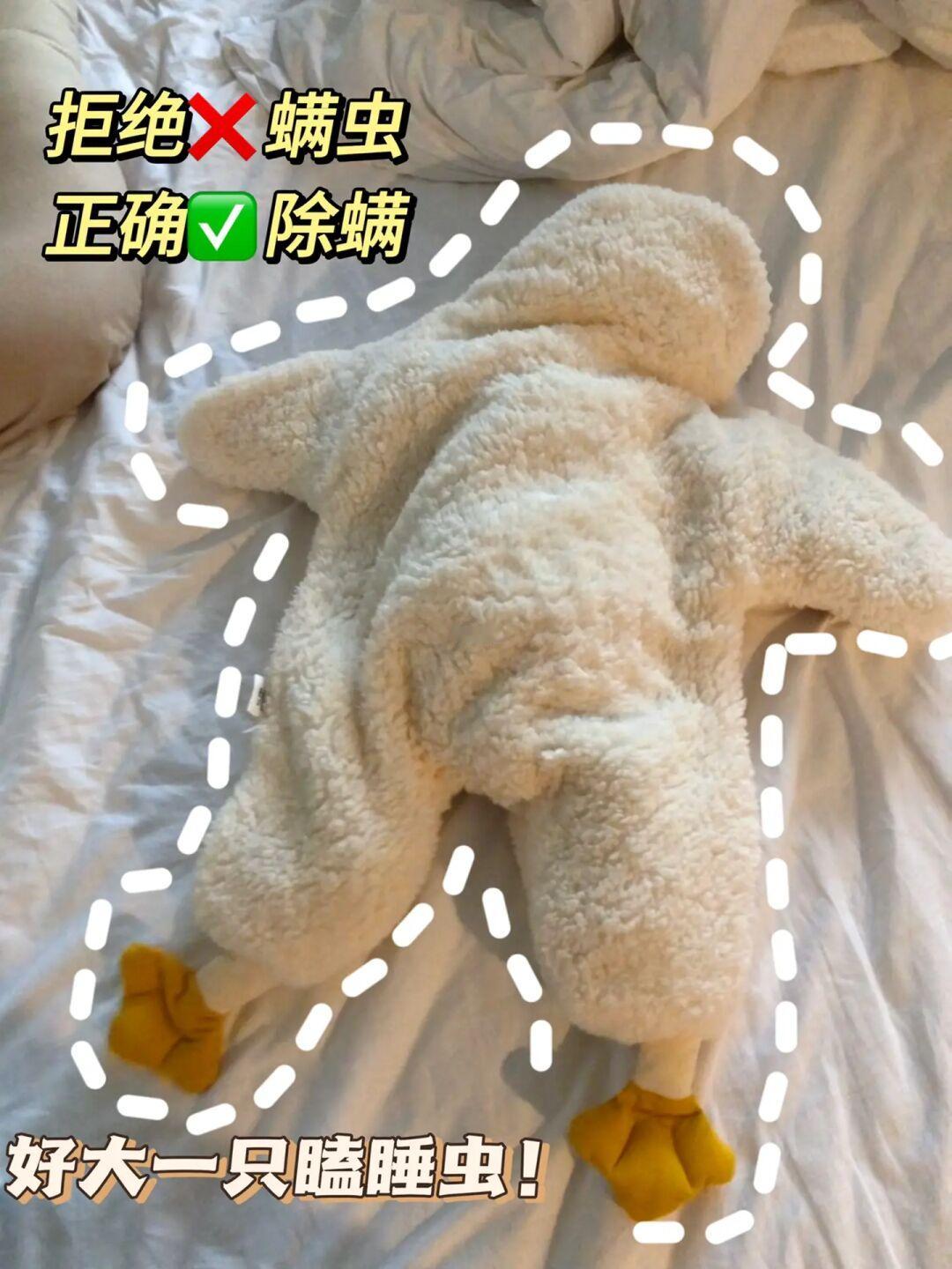 除螨妙招分享！别让螨虫占满娃的床！
