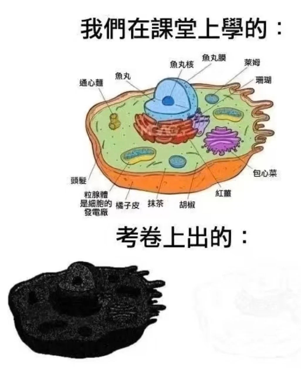 非常真实memes