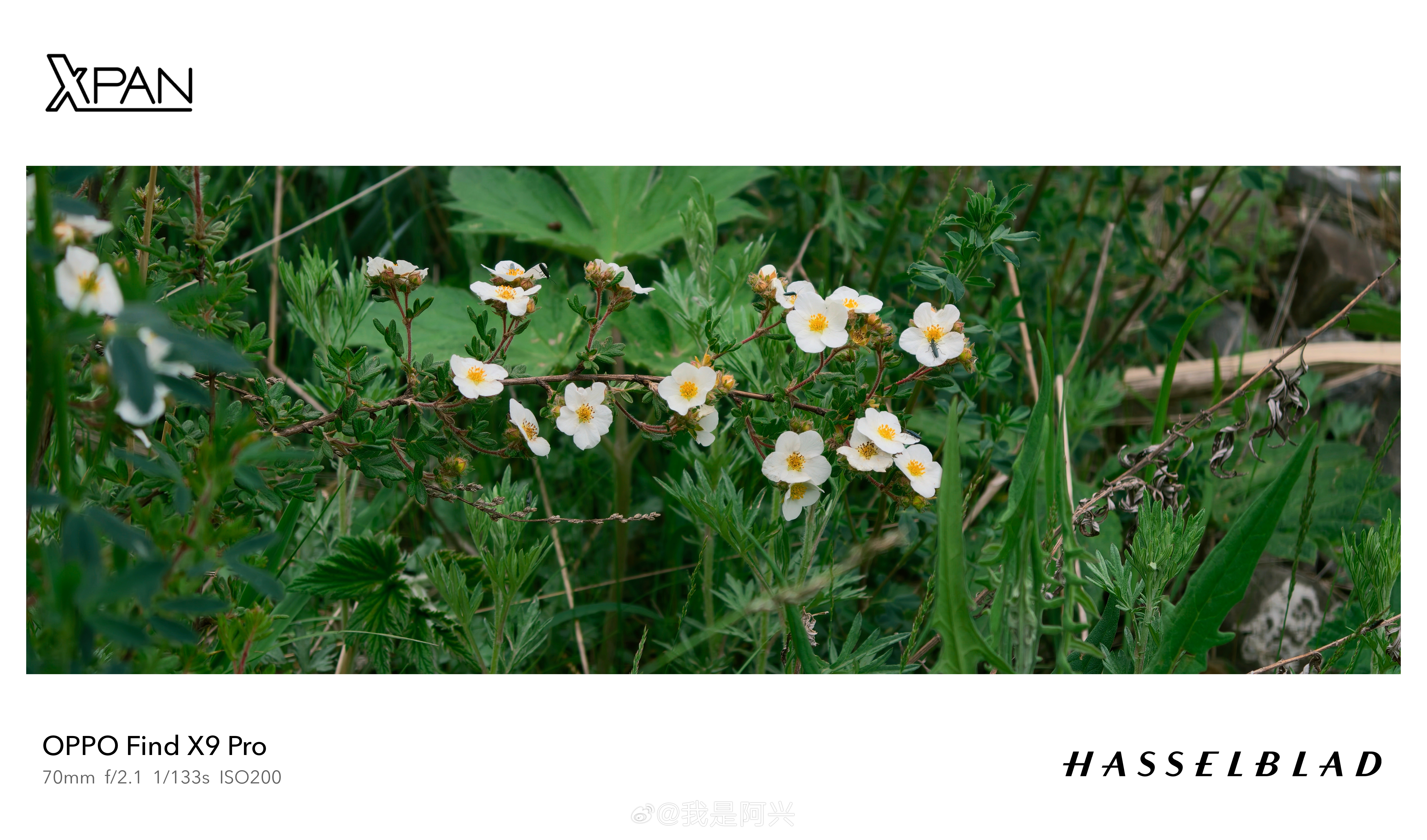 早呀🌞每日早起打卡