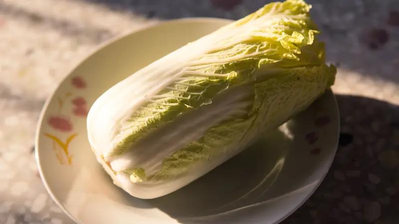 大白菜真是食物界的宝藏！网友调侃能吃一辈子，“白菜价”也体现了它的亲民。
营养专