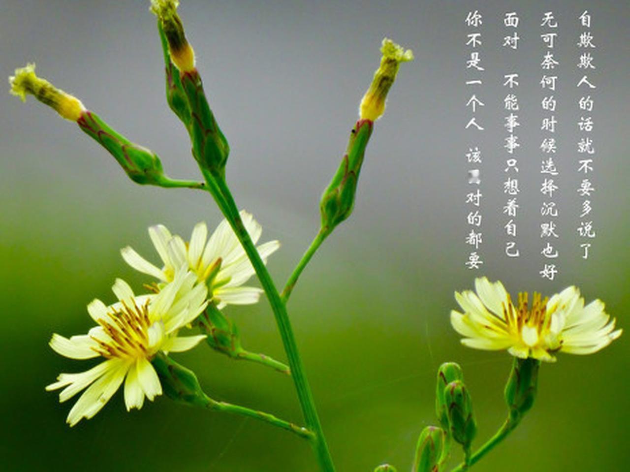 我读过最有哲理的一句话是“人生没有白走的路，每一步都算数”。曾经我备考一个重要证