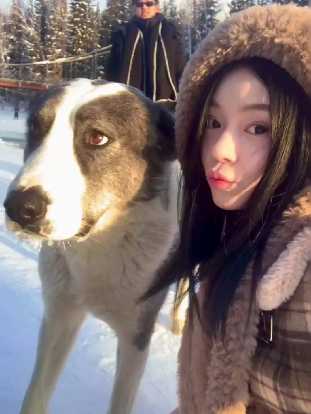 我的阿勒泰