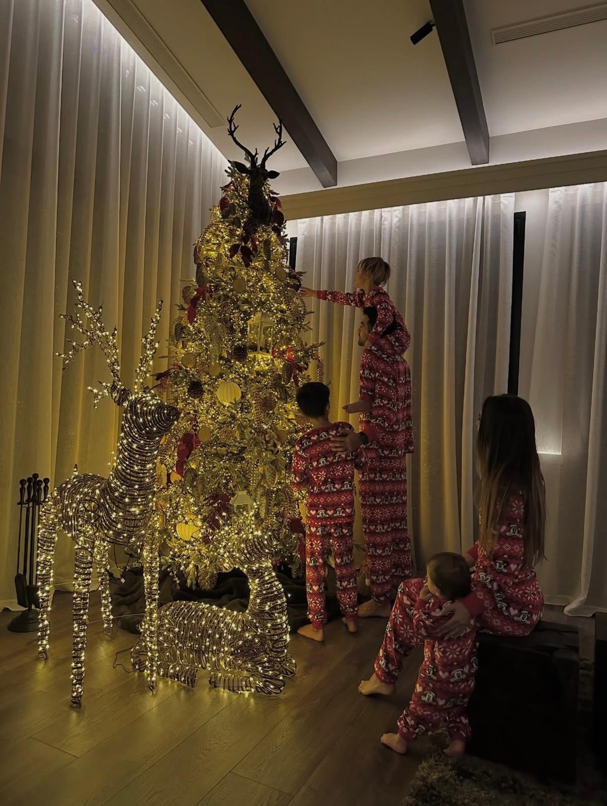 布斯克茨妻子埃琳娜更新ins｜亲爱的圣诞老人：愿我的礼物们永远陪伴在我身边，健康