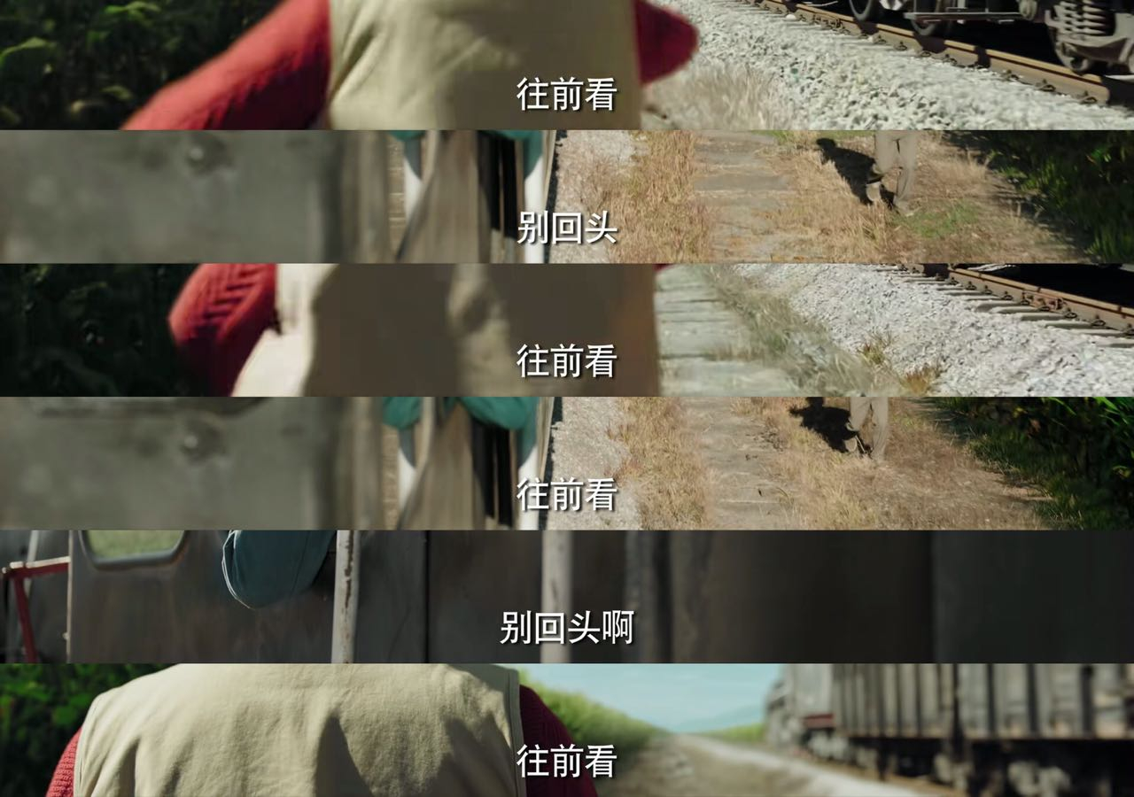 “往前看，别回头。”——《漫长的季节》  