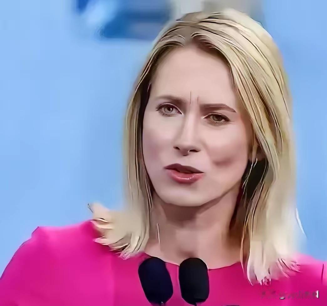 卡拉斯这番话确实让人捏把汗。作为欧盟外交负责人，公开对“袭击国家元首”的国际批评