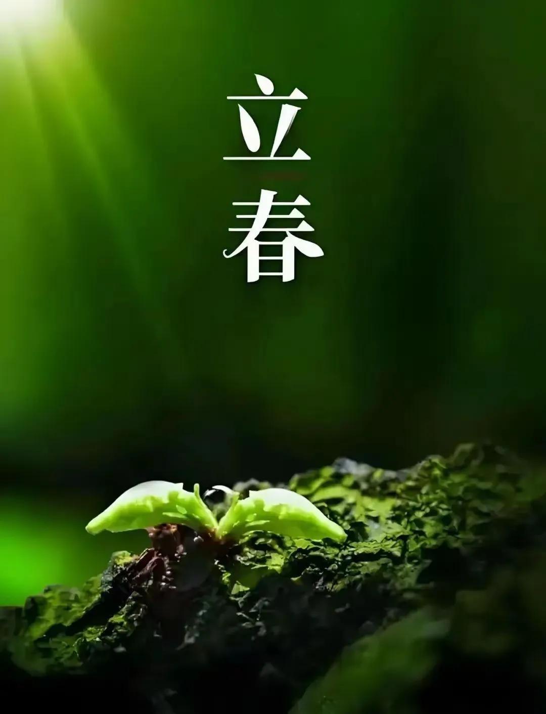 新岁寄春
 
暖霭拂开柳岸霜，半宵唤醒世间芳。
从今淑景皆盈目，千树繁华鸟韵长。