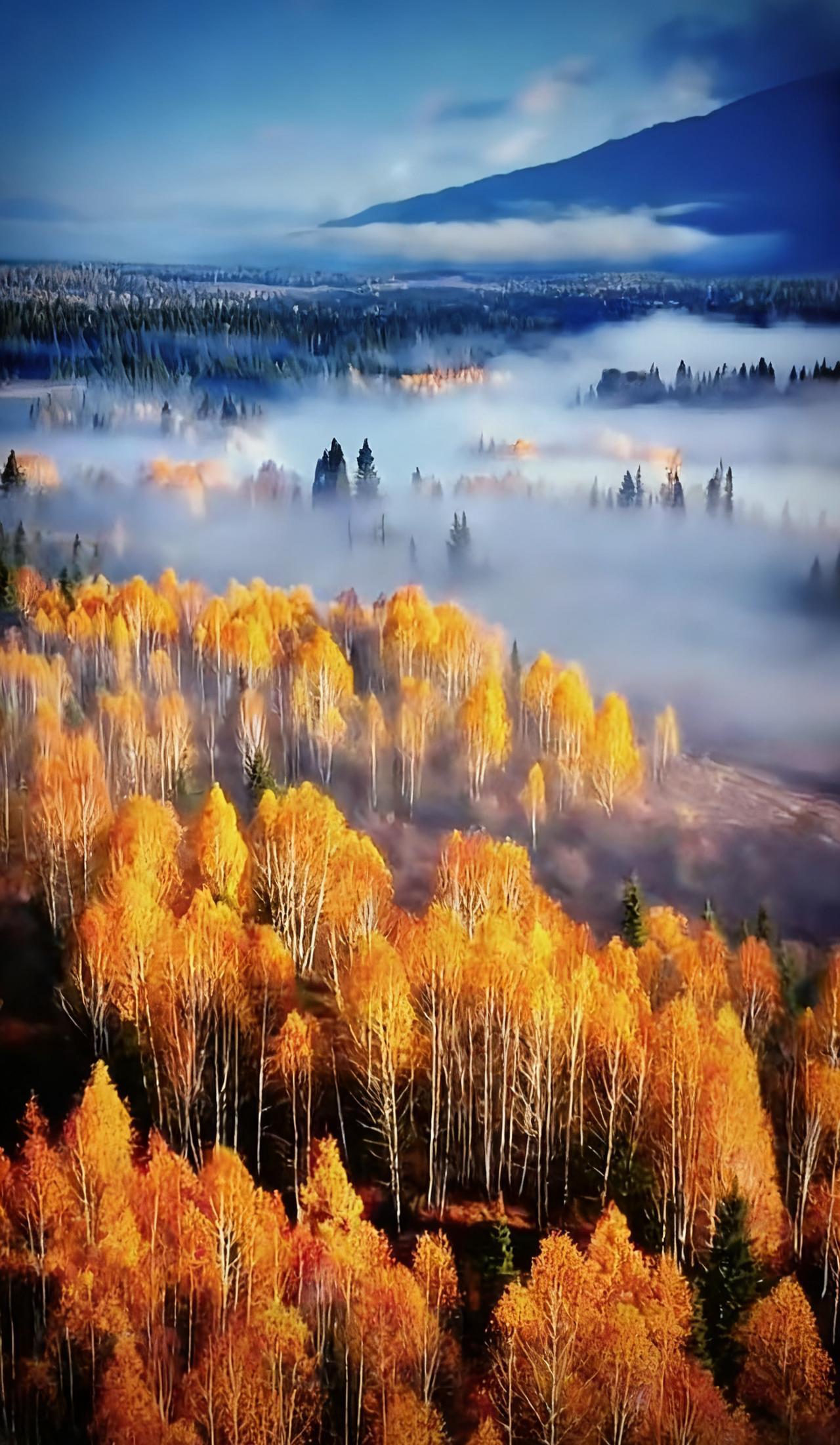 分享一张最近随手拍的照片