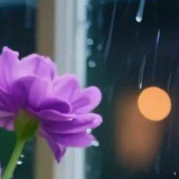 最好的生活就是：不嫉妒别人，不看轻自己，岁月静好，别来无恙时光若不快乐，还有酒；