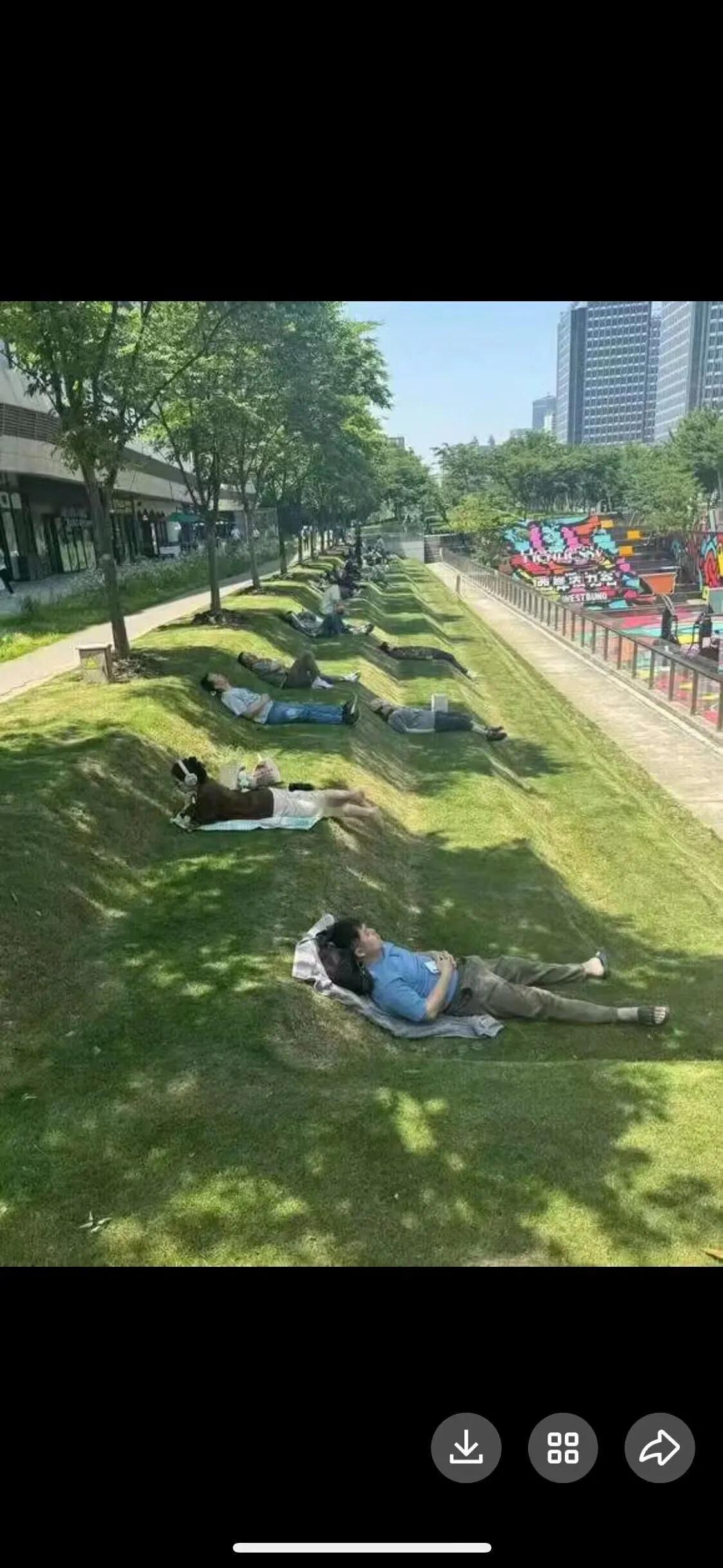 躺平的好地方！！！！