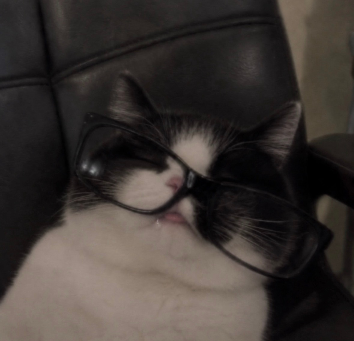 Zzz ​​​