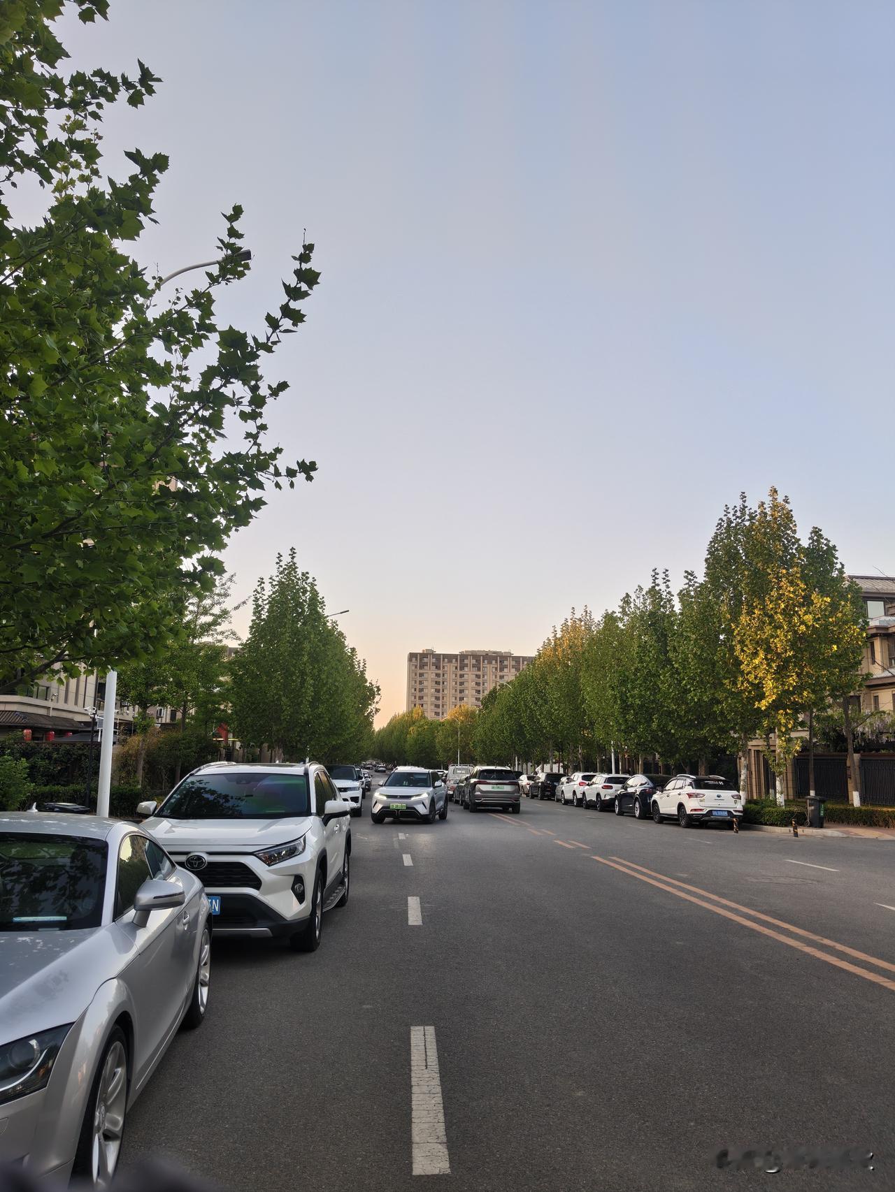 生活有光，日子生香；
向暖，向美，向清欢。