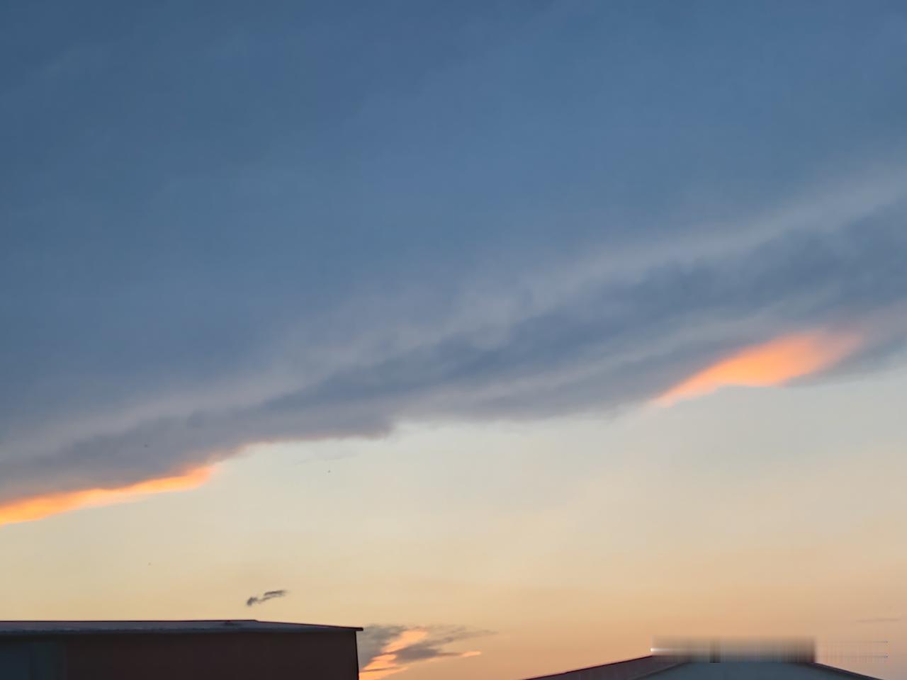夕阳红