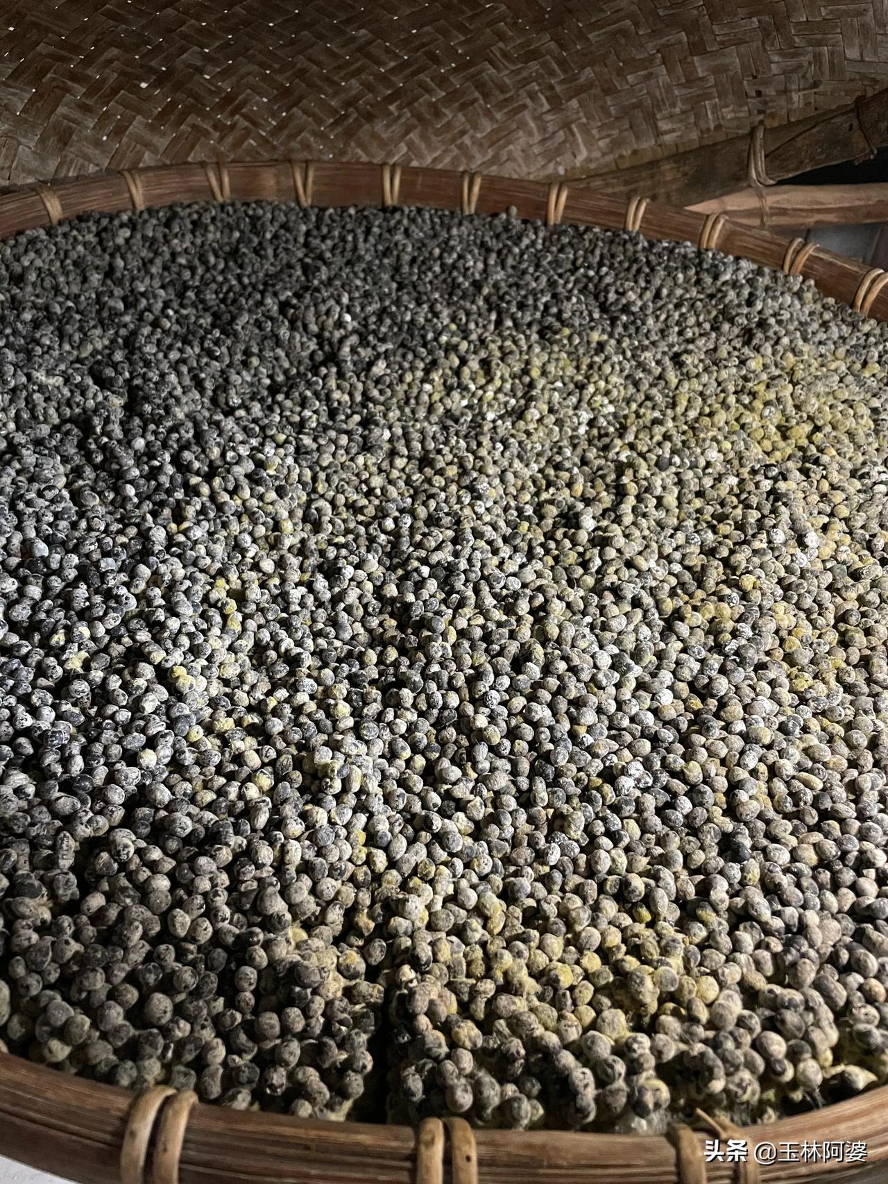 发霉的豆子，也能吃吗？[狗头]这就是“豆豉”前期的样子。广西传统美食，大家吃过嘛