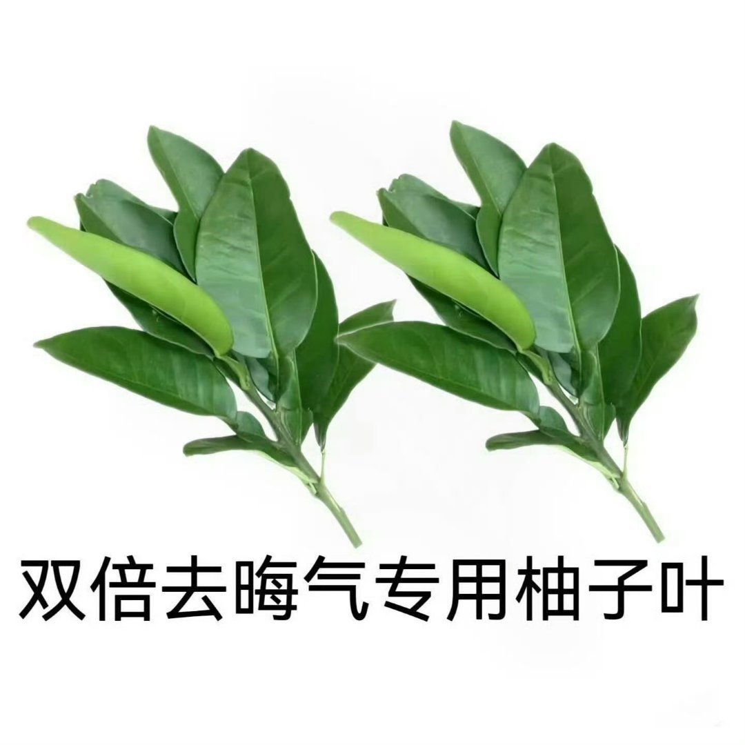 来去去晦气 