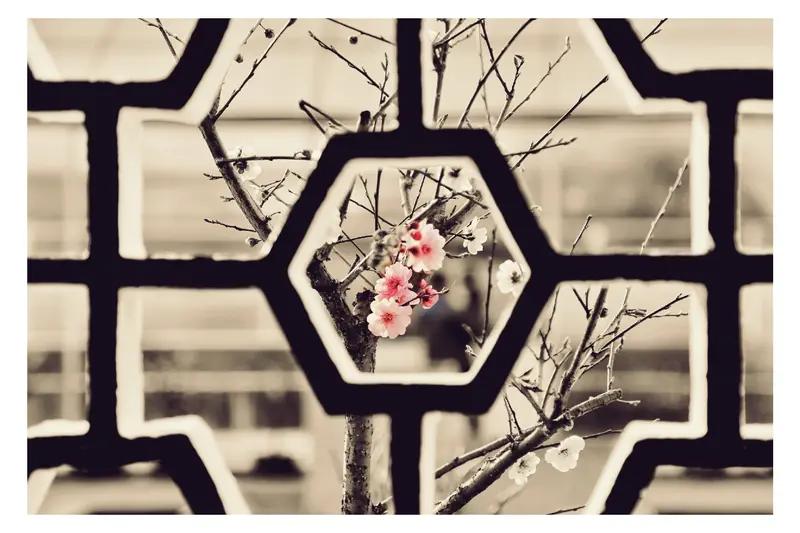 AI妙生图念故园梅窗。