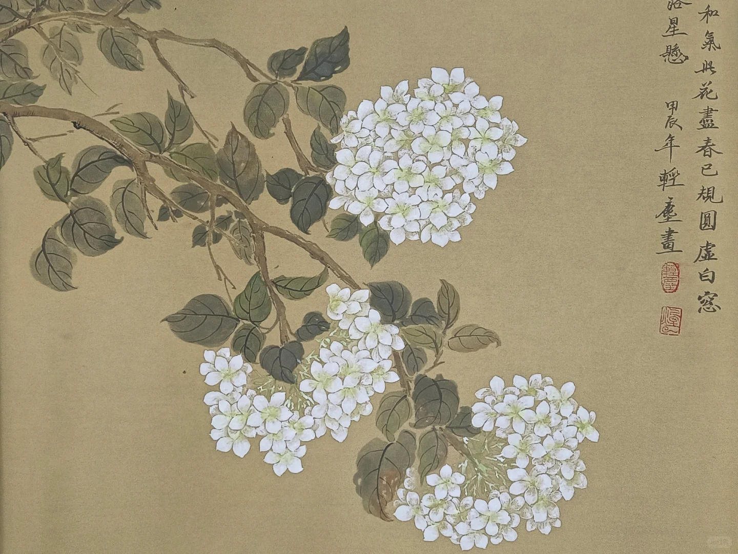 没骨画‖木绣球花，含步骤图