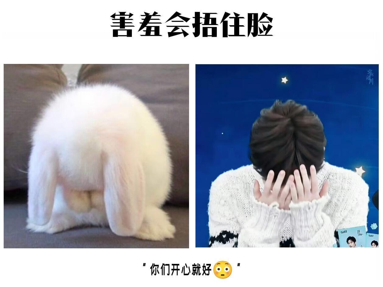 捕捉一只哈基米 