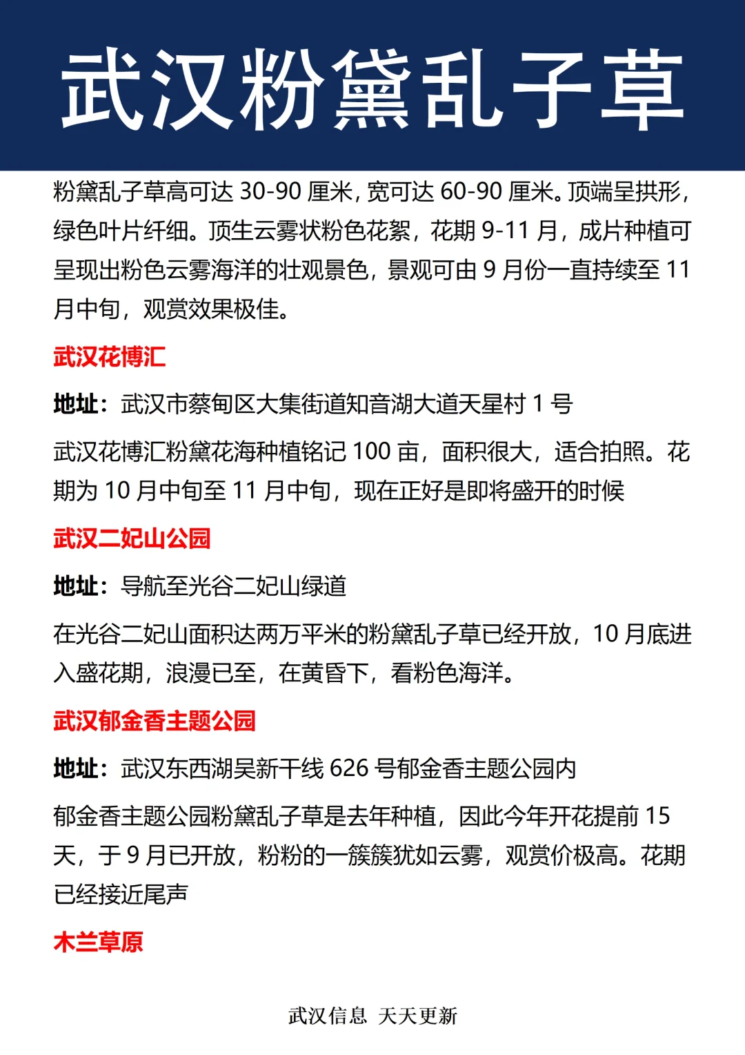 拍照打卡☞武汉粉黛乱子草大盘点