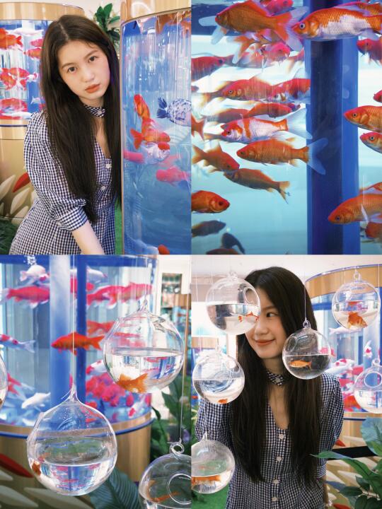 昆明｜复古梦核金鱼🫧