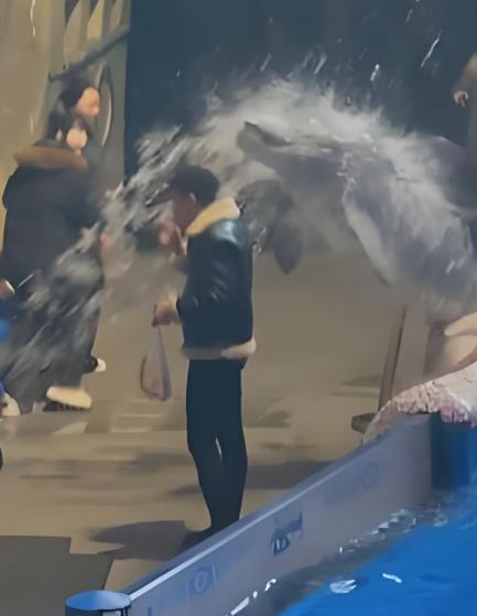 白鲸喷水浇灭香烟是巧合还是动物维权？
那支被白鲸浇灭的香烟还在滴水，中年男人精心