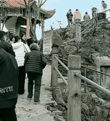 猴子屁股摸不得，这么大年纪了，你说你摸猴子屁股干啥？这一把拽的，看着都疼，一看就