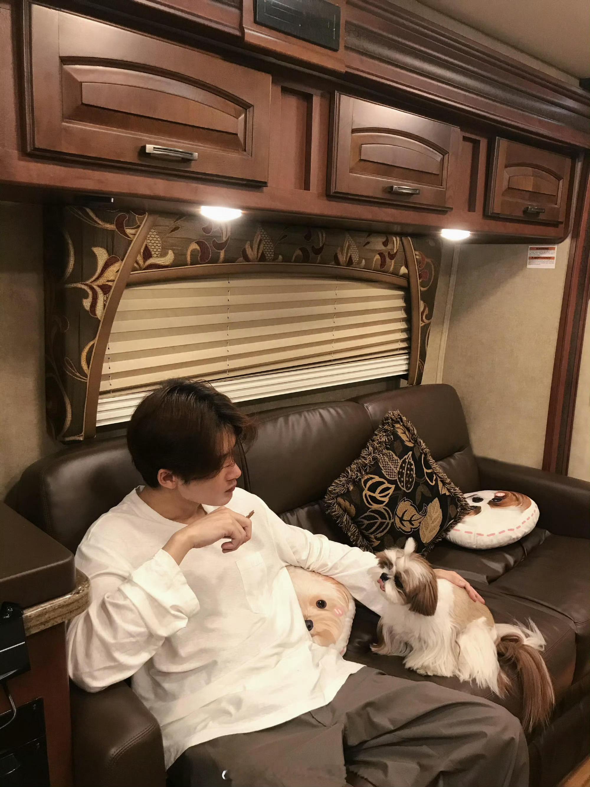 🦔：想吃吗？不给～呆球：？？？檀健次新歌gettoit jctRogerViv