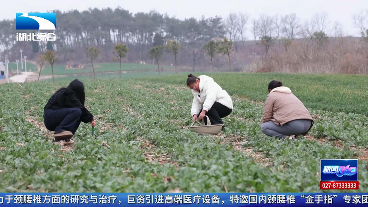 雨水到来湿气重健脾除湿正当时