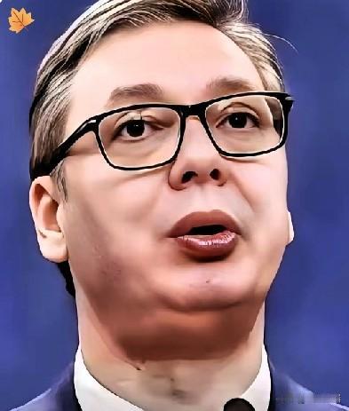 武契奇这人，路子确实野。

欧洲那帮老牌国家，搞个工厂恨不得先开三年的研讨会。今