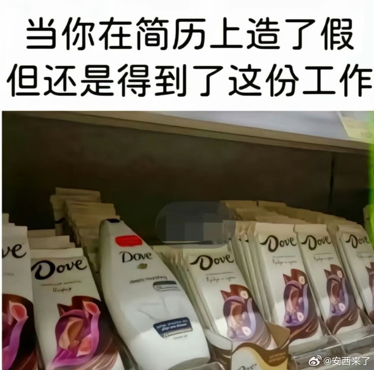 当我在简历上瞎编时belike适当美化是需要的 