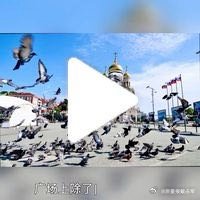 【戴占军】【胜利广场】于海参崴金角湾北岸    （使用App创作）俄罗斯广场教堂