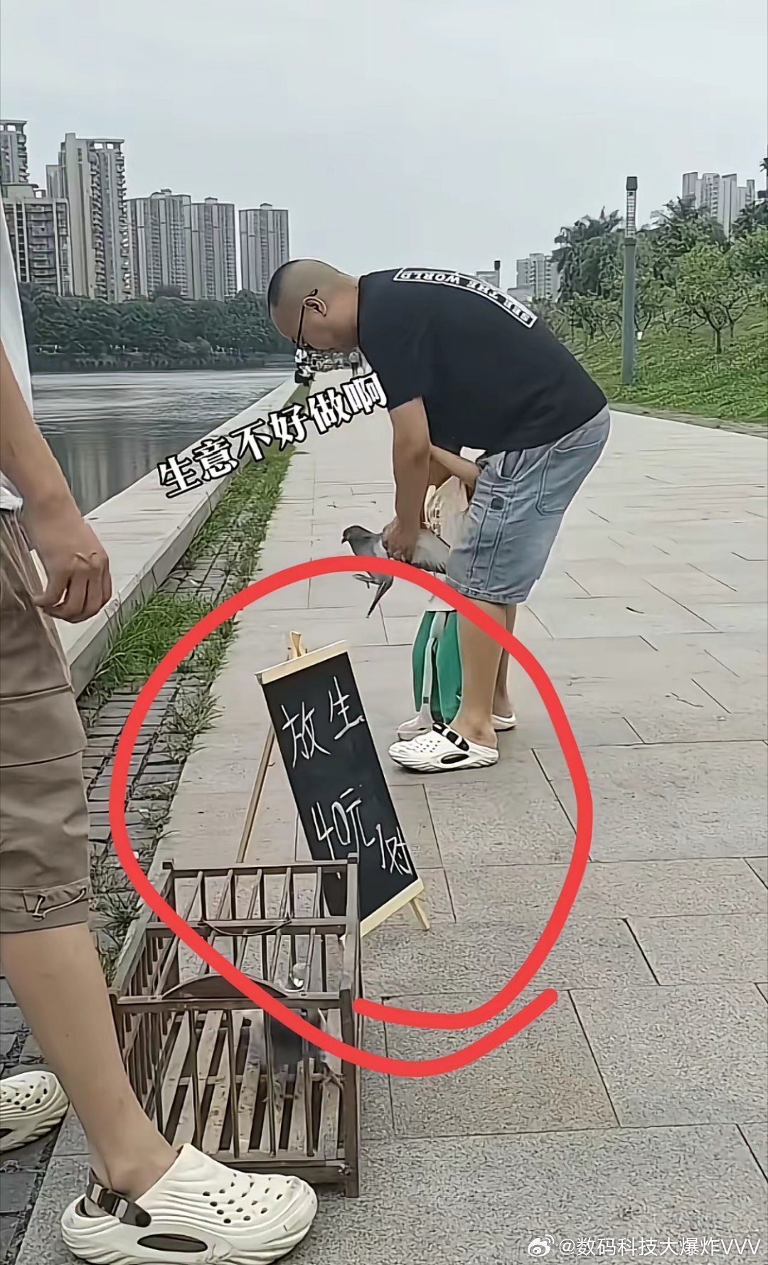 这个生意好啊！放完一会儿自己回家了，接着又可以继续放。 