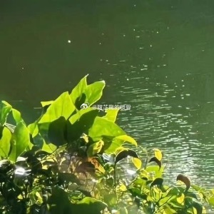 夜深了，沈溪悦还不想睡，百无聊赖地翻着手机，手指划过一堆推送，随便点开了一篇标题