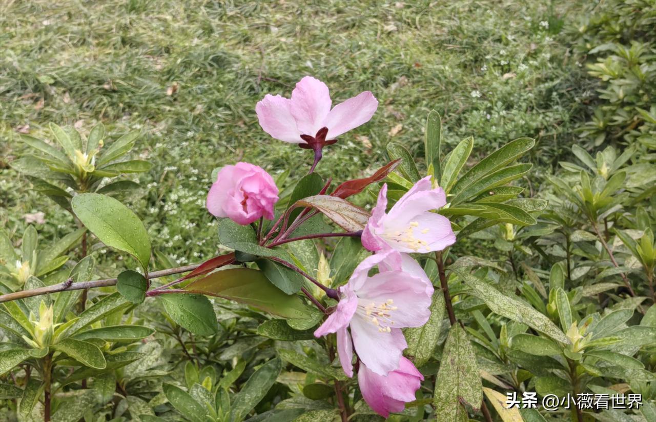 我们这里有个五十多岁的男子，前几天突然感到心慌意乱，很不舒服。

他就从工厂请假
