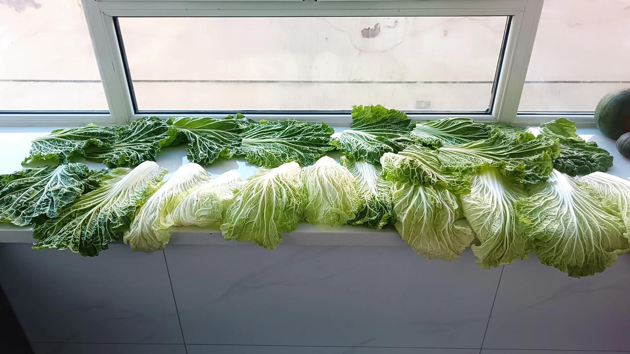 从朋友家揪回这么多白菜叶，估计这几天我就得以东北大菜包为生了！我这个人对吃上需求