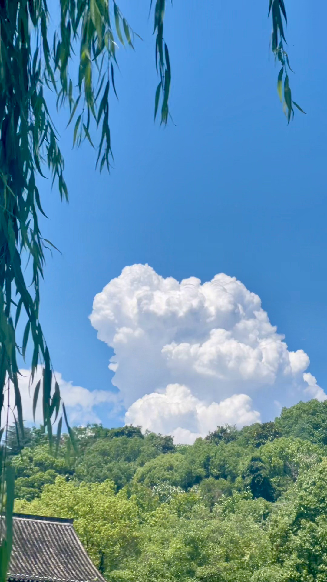 画云☁️～手绘国风插画师手帐