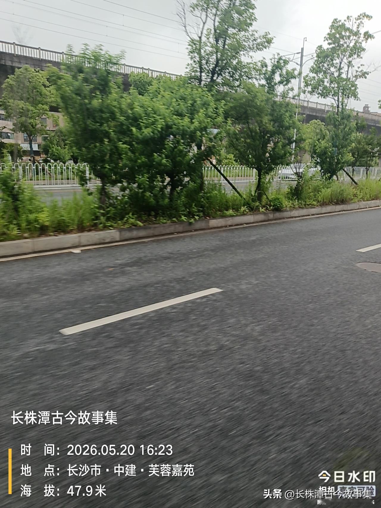 往年手头宽裕时，城市便大力推进绿化建设，规整修剪处处整齐划一。而今节奏放缓，不再