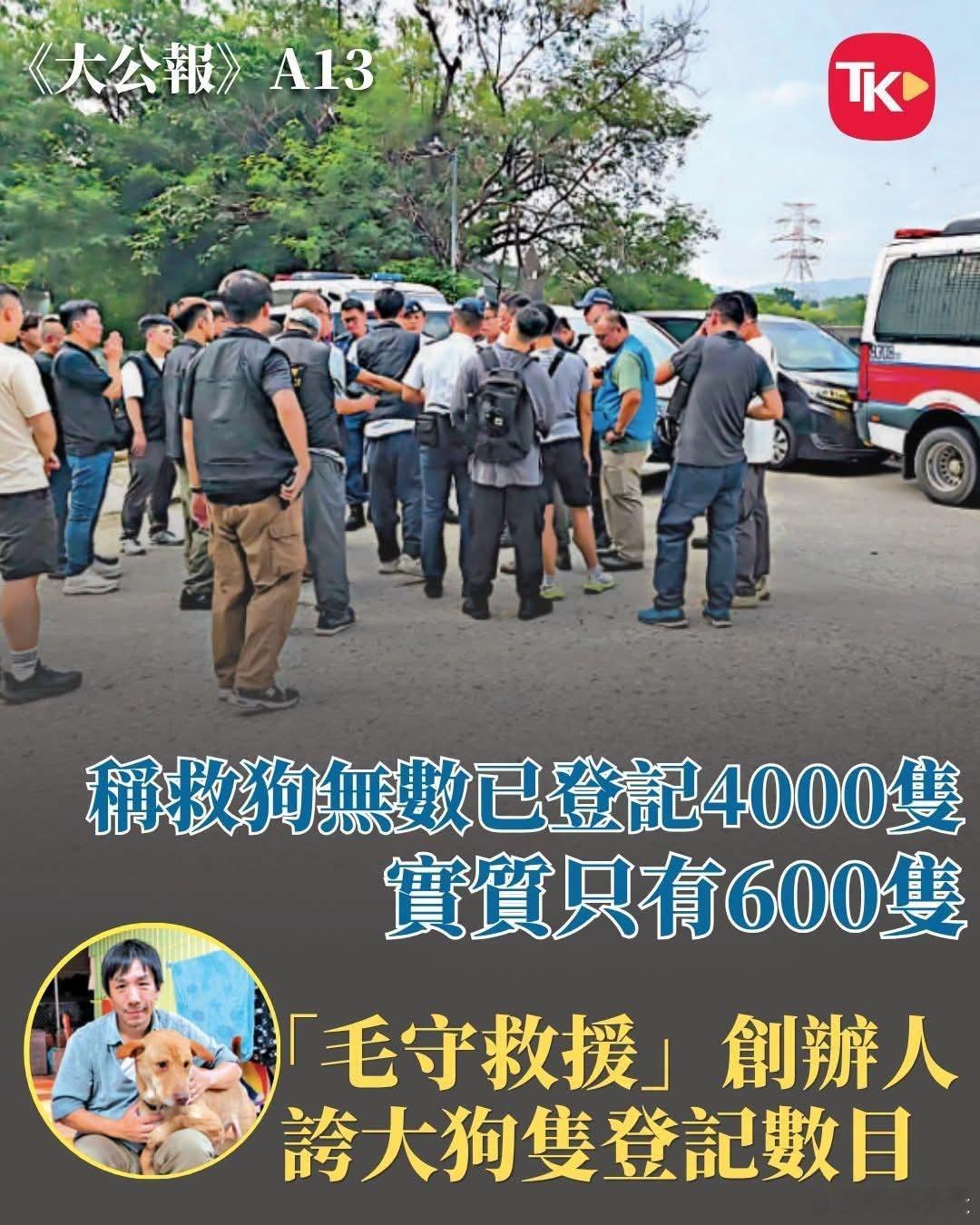 动保组织虚报救助数目并收取捐款一月内两名香港女子被狗咬死后，香港连日展开捉狗行动